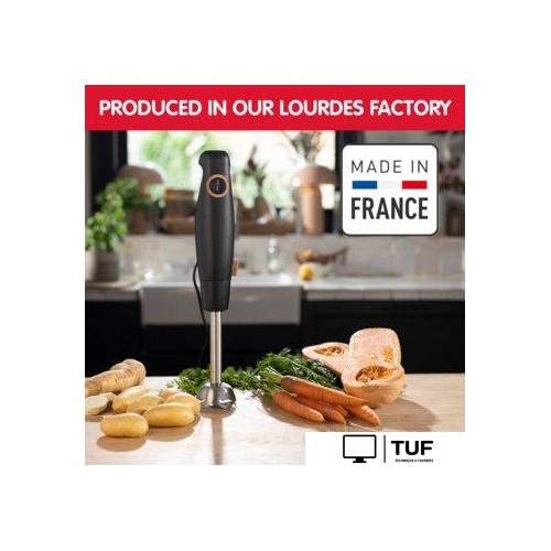 Погружной блендер Moulinex Eco Respect DD46E810