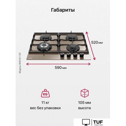 Варочная панель Hansa BHKY61139