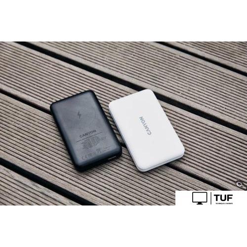 Внешний аккумулятор Canyon PB-1001 10000mAh (черный)