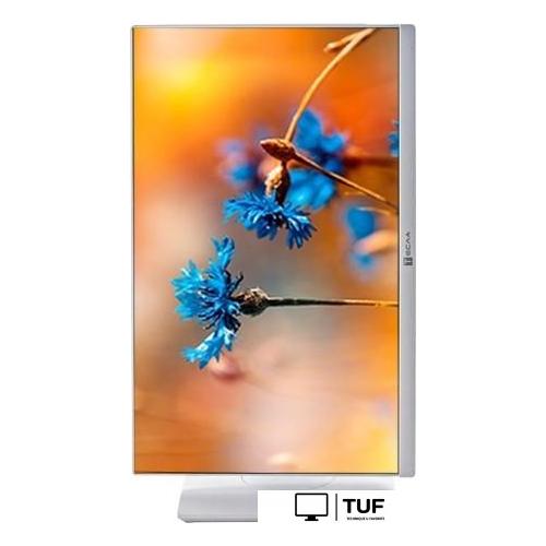 Моноблок ТЕСЛА P24WP 2416500