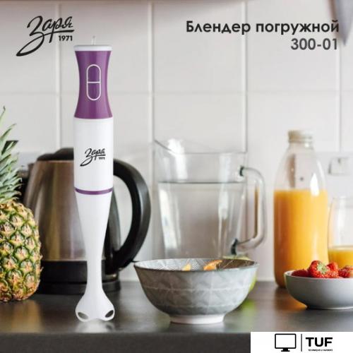 Погружной блендер Заря 300-01