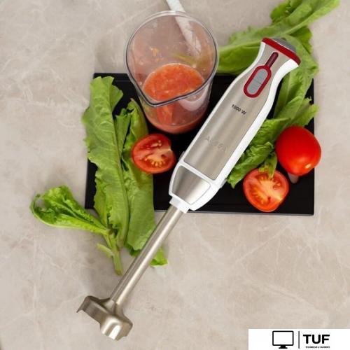 Погружной блендер Aresa AR-1106