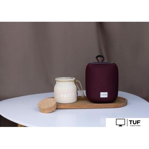 Беспроводная колонка Canyon BSP-8 (черный)