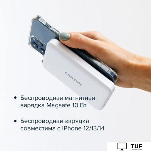 Внешний аккумулятор Canyon PB-1001 10000mAh (черный)