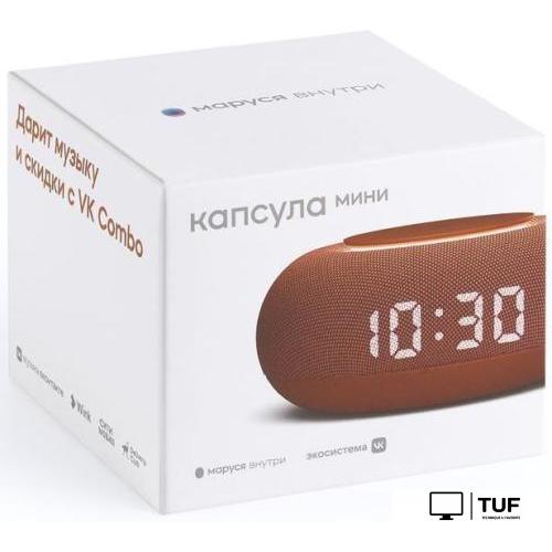 Умная колонка VK Капсула Мини (терракотовый)