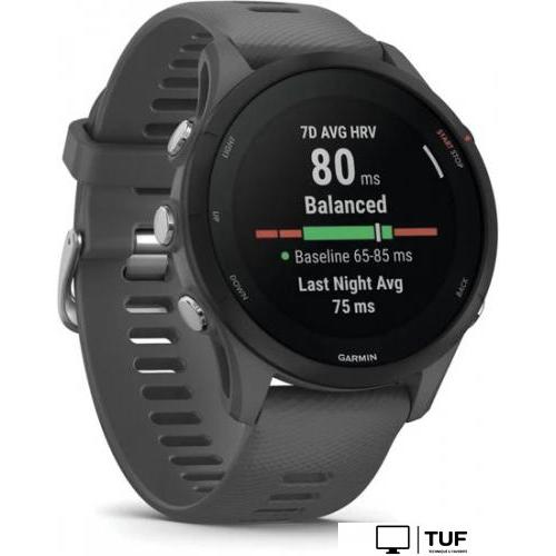 Умные часы Garmin Forerunner 255 (сланцево-серый/черный)