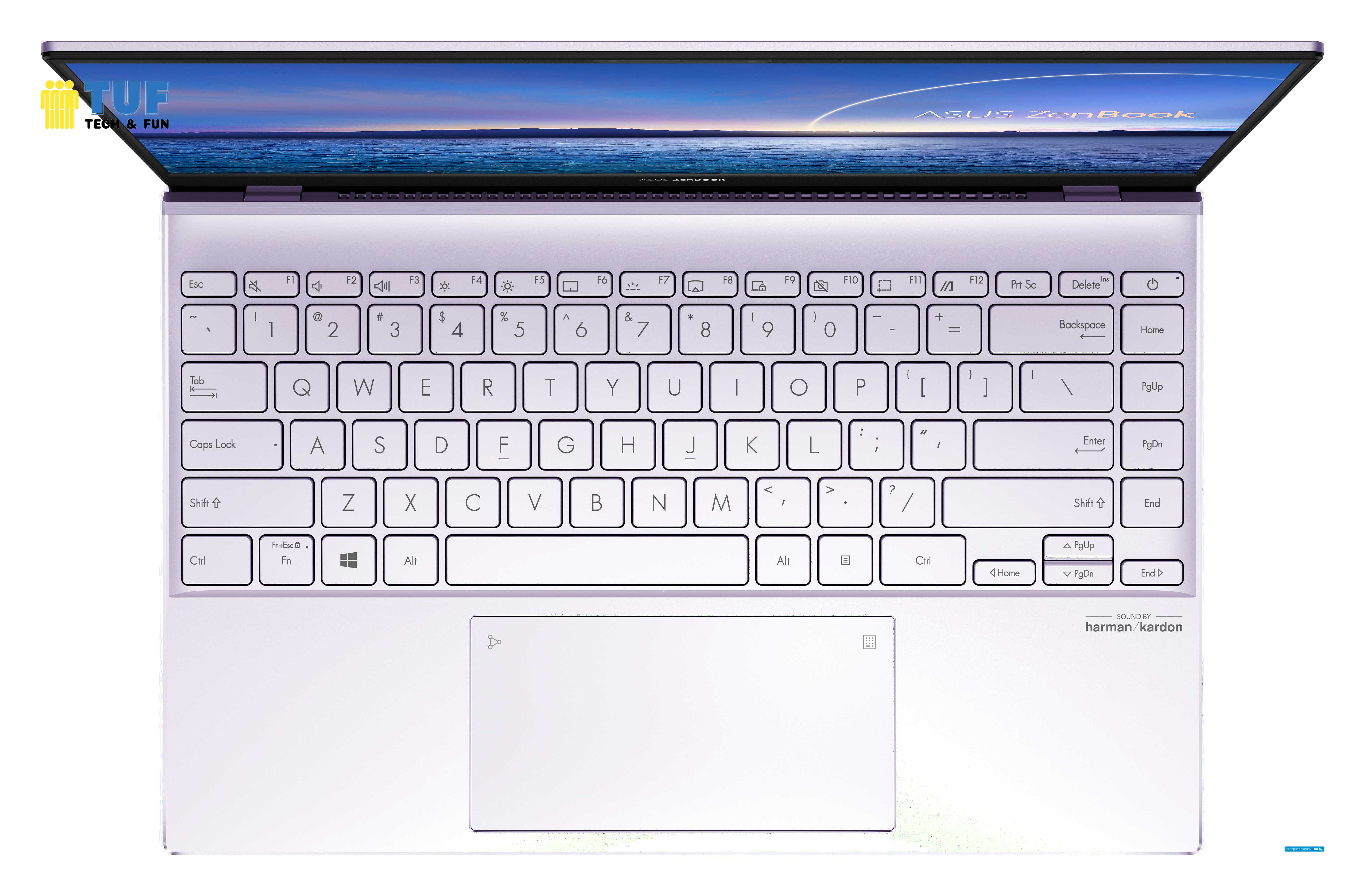 Ноутбук ASUS ZenBook 14 UX425JA-BM003