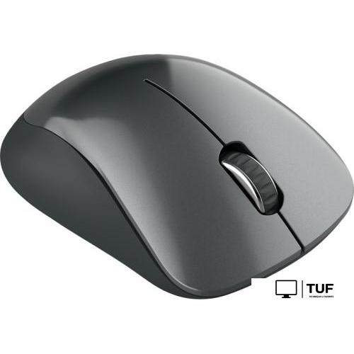 Мышь Canyon MW-11 (черный)