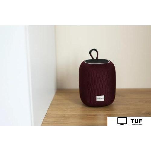 Беспроводная колонка Canyon BSP-8 (черный)