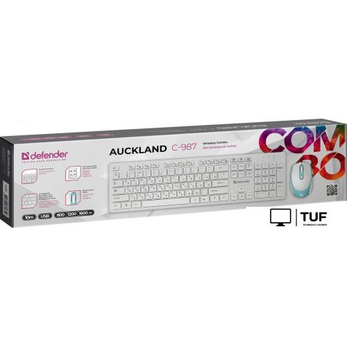 Офисный набор Defender Auckland C-987