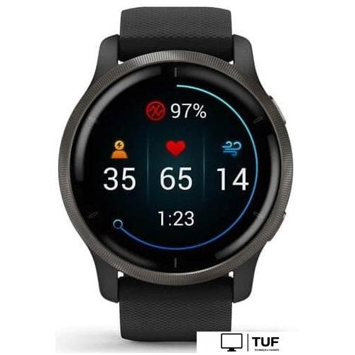 Умные часы Garmin Venu 2 (сланцевая нержавеющая сталь/черный)