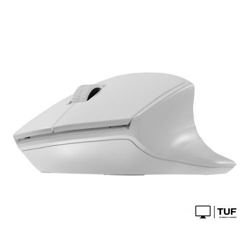 Мышь Natec Siskin 2 (белый)