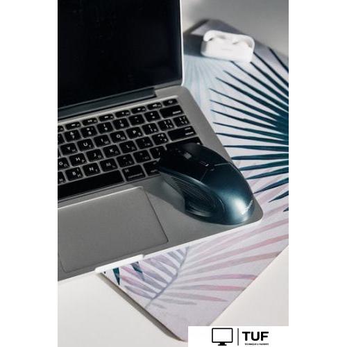 Мышь Canyon MW-15 (темно-синий)