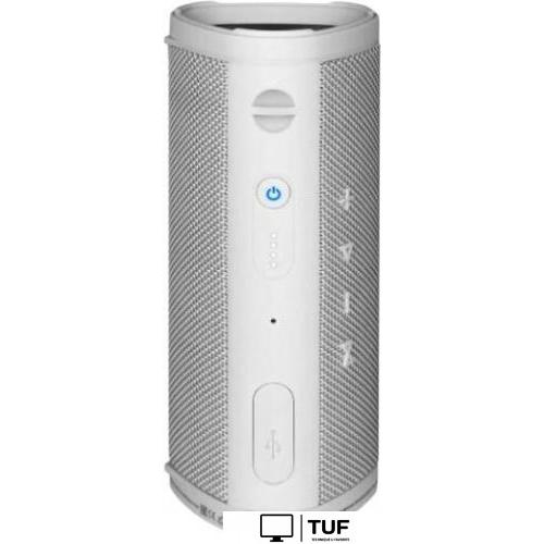 Беспроводная колонка TFN Space (серый)