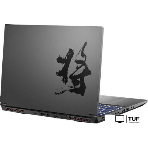 Игровой ноутбук Colorful Evol X17 AT 23 A10003400439