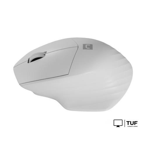 Мышь Natec Siskin 2 (белый)