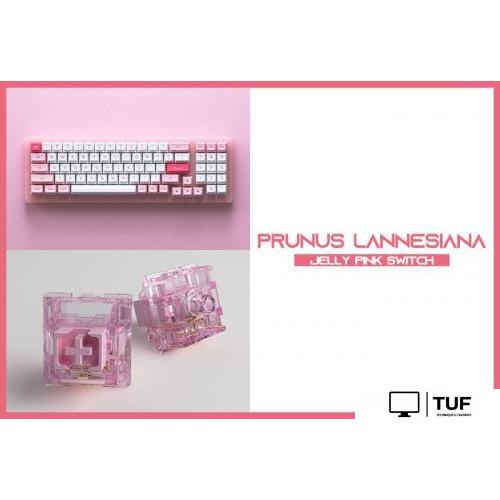 Клавиатура Akko ACR 98 Mini Prunus Lannesiana (Akko CS Jelly White)