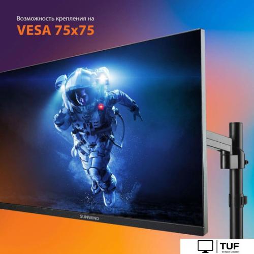Монитор SunWind SUN-M24BA102