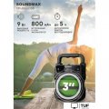 Беспроводная колонка Soundmax SM-PS5035B