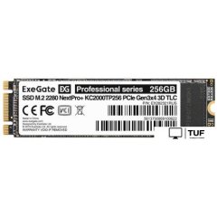 SSD ExeGate Next Pro+ 256GB EX282321RUS