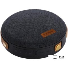 Беспроводная колонка Hyundai H-PAC500