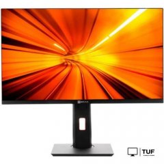 Моноблок ТЕСЛА P24BP 2116500