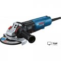 Угловая шлифмашина Bosch GWS 17-150 PS Professional 06017D1600