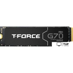 SSD Team T-Force G70 Pro 2TB TM8FFH002T0C129