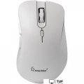 Мышь SmartBuy 616AG SBM616AGW (белый)