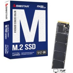 SSD BIOSTAR M760 512GB M760­-512GB