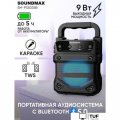 Беспроводная колонка Soundmax SM-PS5035B