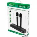 Радиосистема Ritmix RWM-210
