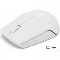 Мышь Lenovo 300 Wireless Compact GY51L15677