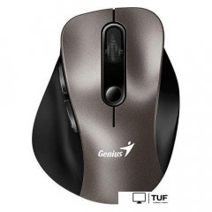 Мышь Genius Ergo 9000S (титановый)