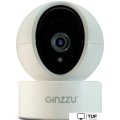 IP-камера Ginzzu HWD-2301A