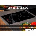 Варочная панель Garlyn H-200