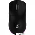 Игровая мышь Оклик 900GMW (черный)