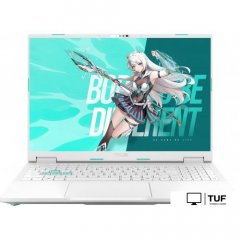 Игровой ноутбук ASUS TUF Gaming Tianxuan A16 2025 FA608WP370-0EAFXH8BX10