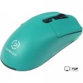Мышь Raskat MG006TR
