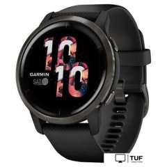 Умные часы Garmin Venu 2 (сланцевая нержавеющая сталь/черный)