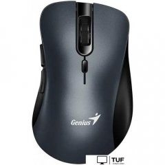 Мышь Genius Ergo 8100S (серый)