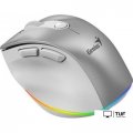 Мышь Genius Ergo 9000S Pro (серебристый)