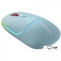 Мышь Canyon MW-22 (бирюзовый)