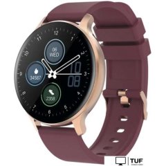 Умные часы Canyon Badian SW-68 (золотистый/бордовый)