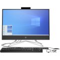 Моноблок HP 22-df1007ur 2S7P8EA