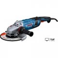 Угловая шлифмашина Bosch GWS 30-230 B Professional 06018G1000