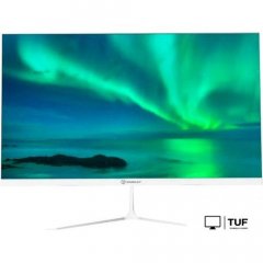 Монитор Raskat I24F10DAW