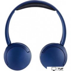 Наушники Panasonic RB-HF630BG-A