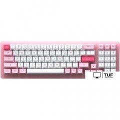 Клавиатура Akko ACR 98 Mini Prunus Lannesiana (Akko CS Jelly White)