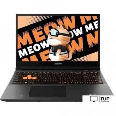 Игровой ноутбук Colorful Evol MEOW R15 A10305000029